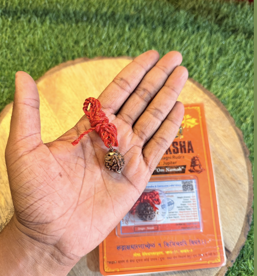 Panchmukhi Original Rudrakash 